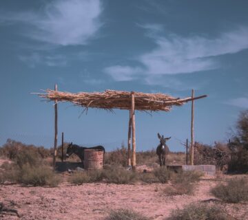 شبکه‌های پنهان و تونل‌سازی